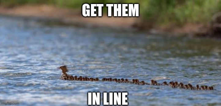 GET THEM IN LINE | made w/ Imgflip meme maker