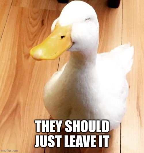 SMILE DUCK | THEY SHOULD JUST LEAVE IT | image tagged in smile duck | made w/ Imgflip meme maker