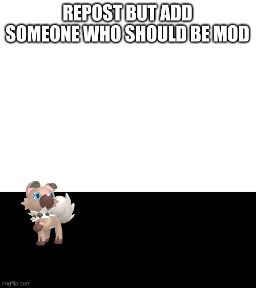 rockruff :) | REPOST BUT ADD SOMEONE WHO SHOULD BE MOD | image tagged in blank white template | made w/ Imgflip meme maker
