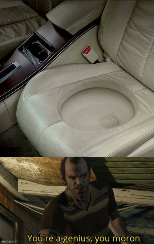 The Toilet Car Seat | image tagged in toilet,car meme,seat,toilet seat | made w/ Imgflip meme maker