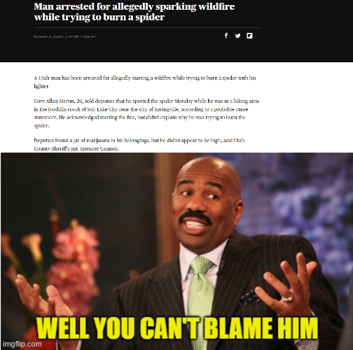 There was a Spider | image tagged in wildfires,spiders,steve harvey | made w/ Imgflip meme maker