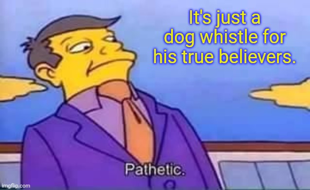 skinner pathetic | It's just a dog whistle for his true believers. | image tagged in skinner pathetic | made w/ Imgflip meme maker