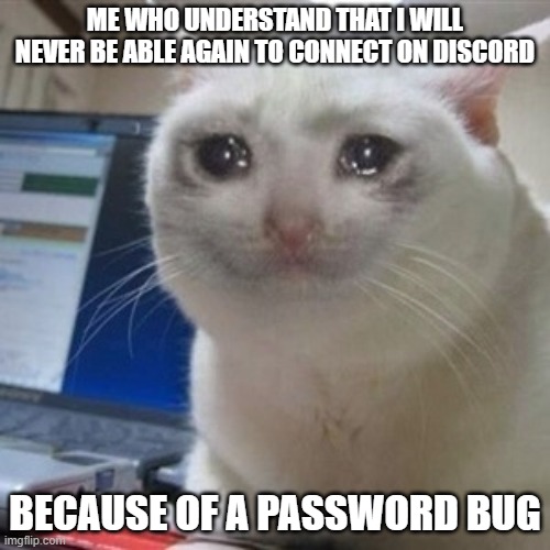 Crying cat | ME WHO UNDERSTAND THAT I WILL NEVER BE ABLE AGAIN TO CONNECT ON DISCORD; BECAUSE OF A PASSWORD BUG | image tagged in crying cat | made w/ Imgflip meme maker