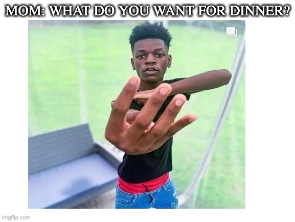 not sponsored | MOM: WHAT DO YOU WANT FOR DINNER? | image tagged in no context | made w/ Imgflip meme maker