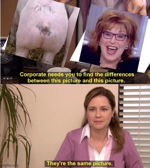 They're The Same Picture Meme | image tagged in memes,they're the same picture | made w/ Imgflip meme maker