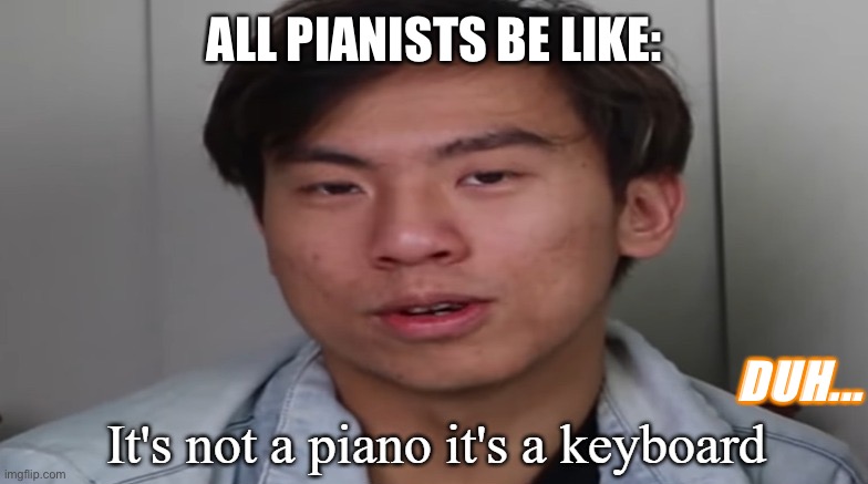 Pianists be like: |  ALL PIANISTS BE LIKE:; DUH... | image tagged in it's not a piano it's a keyboard,violin,piano,music,obvious | made w/ Imgflip meme maker
