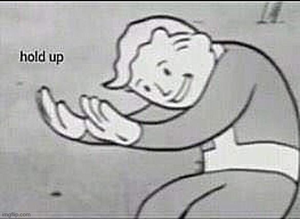 Fallout Hold Up | image tagged in fallout hold up | made w/ Imgflip meme maker