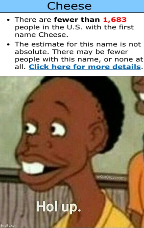 there's more than 1 person named cheese- | image tagged in hol up | made w/ Imgflip meme maker