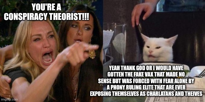 Big oof to the whole situation | YOU'RE A CONSPIRACY THEORIST!!! YEAH THANK GOD OR I WOULD HAVE GOTTEN THE FAKE VAX THAT MADE NO SENSE BUT WAS FORCED WITH FEAR ALONE BY A PHONY RULING ELITE THAT ARE EVER EXPOSING THEMSELVES AS CHARLATANS AND THEIVES | image tagged in woman yelling at cat,oof,anti vax | made w/ Imgflip meme maker
