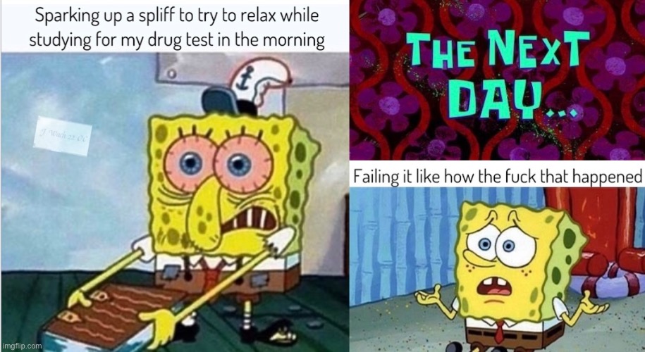 Study Harder Sponge | image tagged in spongebob,drug humor | made w/ Imgflip meme maker