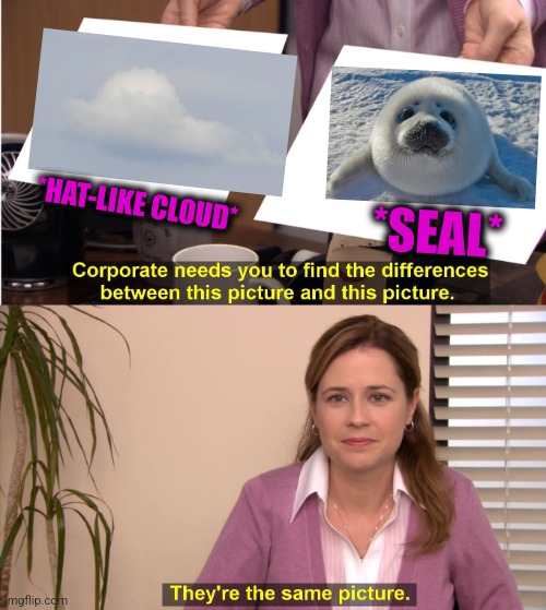 -So cute, really so? | *SEAL*; *HAT-LIKE CLOUD* | image tagged in memes,they're the same picture,happy seal,totally looks like,soundcloud,winter is here | made w/ Imgflip meme maker