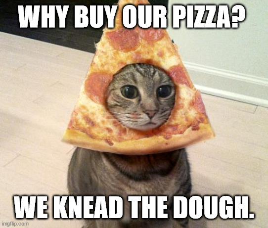 pizza cat | WHY BUY OUR PIZZA? WE KNEAD THE DOUGH. | image tagged in pizza cat,eye roll | made w/ Imgflip meme maker