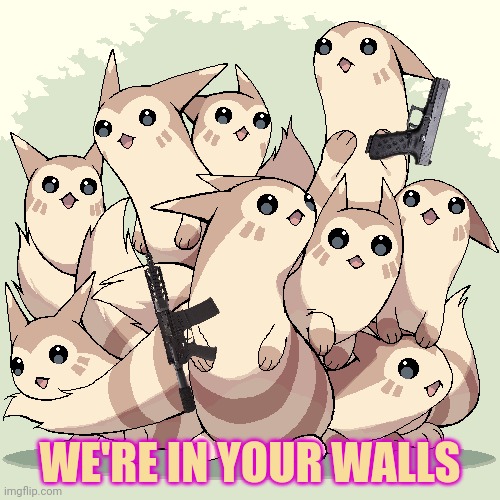Furret is here | WE'RE IN YOUR WALLS | image tagged in furret,is in,your walls | made w/ Imgflip meme maker