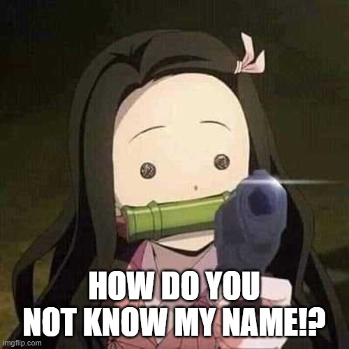 NEZUKO NOOOOO!!! | HOW DO YOU NOT KNOW MY NAME!? | image tagged in nezuko nooooo | made w/ Imgflip meme maker