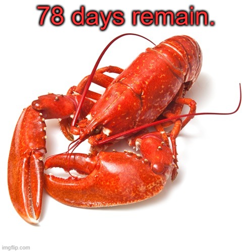 78 days remain. | 78 days remain. | image tagged in 78 days remain | made w/ Imgflip meme maker