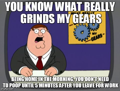 Peter Griffin News Meme | YOU KNOW WHAT REALLY GRINDS MY GEARS BEING HOME IN THE MORNING, YOU DON'T NEED TO POOP UNTIL 5 MINUTES AFTER YOU LEAVE FOR WORK | image tagged in memes,peter griffin news | made w/ Imgflip meme maker