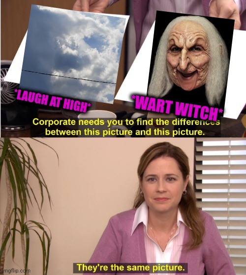 -Salem's sunlight. | *LAUGH AT HIGH*; *WART WITCH* | image tagged in memes,they're the same picture,witch,martha stewart,totally looks like,cloud strife | made w/ Imgflip meme maker