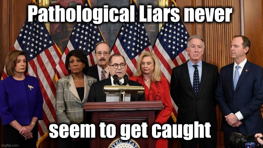 House Democrats | Pathological Liars never seem to get caught | image tagged in house democrats | made w/ Imgflip meme maker