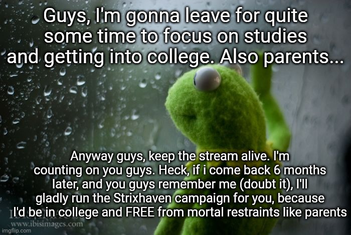 See ya, you bunch of gelatinous cubes. It was fun. | Guys, I'm gonna leave for quite some time to focus on studies and getting into college. Also parents... Anyway guys, keep the stream alive. I'm counting on you guys. Heck, if i come back 6 months later, and you guys remember me (doubt it), I'll gladly run the Strixhaven campaign for you, because I'd be in college and FREE from mortal restraints like parents | image tagged in kermit window | made w/ Imgflip meme maker