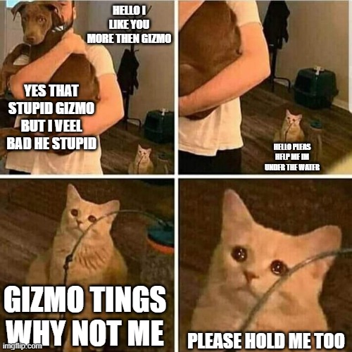 Sad Cat Holding Dog |  HELLO I LIKE YOU MORE THEN GIZMO; YES THAT STUPID GIZMO BUT I VEEL BAD HE STUPID; HELLO PLEAS HELP ME IM UNDER THE WATER; GIZMO TINGS WHY NOT ME; PLEASE HOLD ME TOO | image tagged in sad cat holding dog | made w/ Imgflip meme maker
