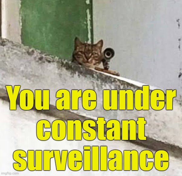 You are under
constant surveillance | made w/ Imgflip meme maker