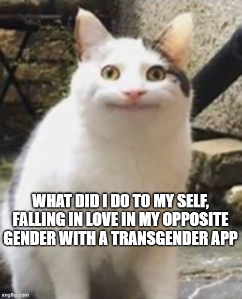loving my self | WHAT DID I DO TO MY SELF, FALLING IN LOVE IN MY OPPOSITE GENDER WITH A TRANSGENDER APP | image tagged in beluga cat sus | made w/ Imgflip meme maker