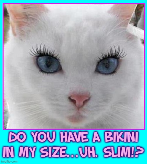 Girls will be Girls... | DO YOU HAVE A BIKINI
IN MY SIZE...UH. SLIM!? | image tagged in vince vance,pussy cats,cats,funny cat memes,meow,i love cats | made w/ Imgflip meme maker