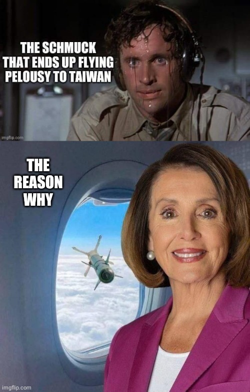 Why Nutty Nancy's Pilot is nervous | THE
REASON
WHY | image tagged in nancy pelosi | made w/ Imgflip meme maker