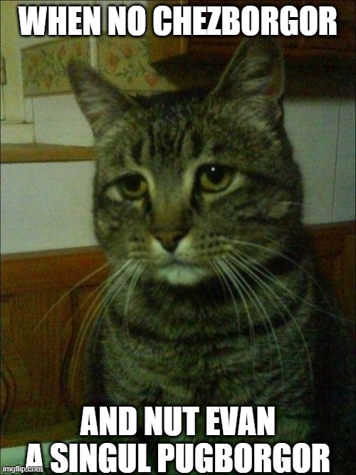 Help I'm trapped in 2014 time loop |  WHEN NO CHEZBORGOR; AND NUT EVAN A SINGUL PUGBORGOR | image tagged in memes,depressed cat,lolcat,lolcats,dead meme | made w/ Imgflip meme maker