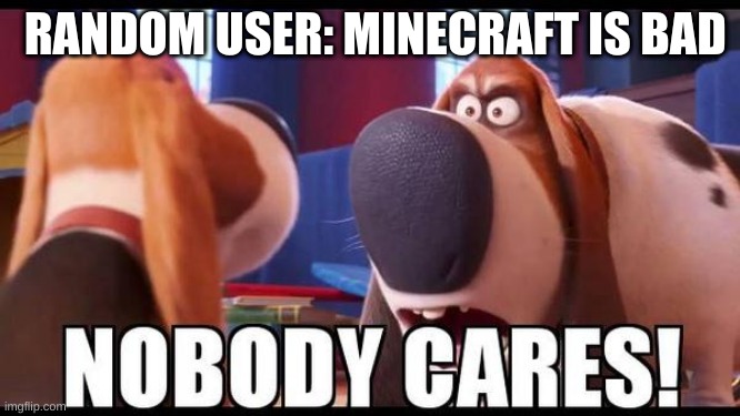 Nobody cares! | RANDOM USER: MINECRAFT IS BAD | image tagged in nobody cares | made w/ Imgflip meme maker