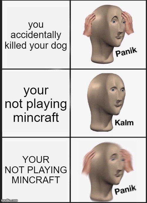 mincraft meme (not actually a repost) | you accidentally killed your dog; your not playing mincraft; YOUR NOT PLAYING MINCRAFT | image tagged in memes,panik kalm panik | made w/ Imgflip meme maker