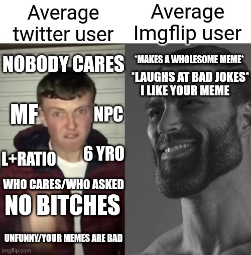 Twitter is bad, imgflip is better |  Average Imgflip user; Average twitter user; *MAKES A WHOLESOME MEME*; NOBODY CARES; *LAUGHS AT BAD JOKES*; I LIKE YOUR MEME; MF; NPC; 6 YRO; L+RATIO; WHO CARES/WHO ASKED; NO BITCHES; UNFUNNY/YOUR MEMES ARE BAD | image tagged in average fan vs average enjoyer | made w/ Imgflip meme maker