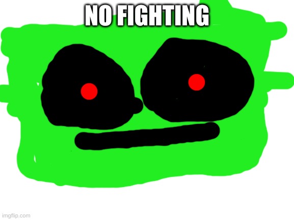 Blank White Template | NO FIGHTING | image tagged in blank white template | made w/ Imgflip meme maker