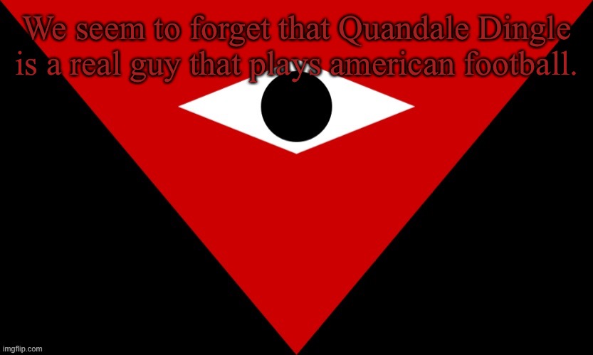 IMGSOC Flag | We seem to forget that Quandale Dingle is a real guy that plays american football. | image tagged in imgsoc flag | made w/ Imgflip meme maker
