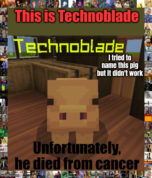 Technoblade never dies | This is Technoblade; I tried to name this pig but it didn't work; Unfortunately, he died from cancer | image tagged in technoblade,memes,funny,sad | made w/ Imgflip meme maker