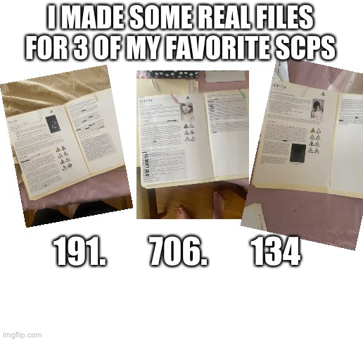 I posted the 191 file on Reddit if you guys wanna see it | I MADE SOME REAL FILES FOR 3 OF MY FAVORITE SCPS; 191.       706.       134 | image tagged in blank white template | made w/ Imgflip meme maker