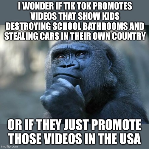 Tik Tok promotes car theft and school bathroom destruction | I WONDER IF TIK TOK PROMOTES VIDEOS THAT SHOW KIDS DESTROYING SCHOOL BATHROOMS AND STEALING CARS IN THEIR OWN COUNTRY; OR IF THEY JUST PROMOTE THOSE VIDEOS IN THE USA | image tagged in deep thoughts,tik tok,tiktok,tiktok sucks,tik tok sucks | made w/ Imgflip meme maker