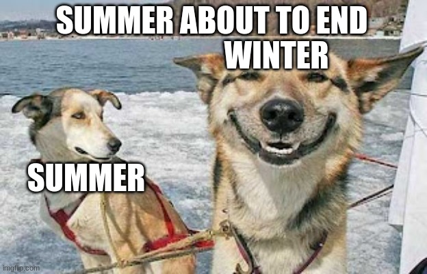 rip | SUMMER ABOUT TO END; WINTER; SUMMER | image tagged in memes,original stoner dog | made w/ Imgflip meme maker