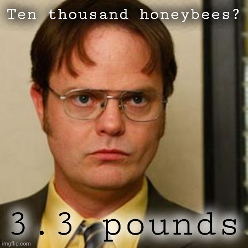 Dwight fact | Ten thousand honeybees? 3.3 pounds | image tagged in dwight fact | made w/ Imgflip meme maker
