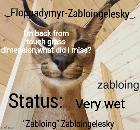 I was running for my bottle and run out of water :sad_spunch: | I'm back from touch grass dimension,what did i miss? Very wet | image tagged in zabloingelesky's annoucment temp | made w/ Imgflip meme maker