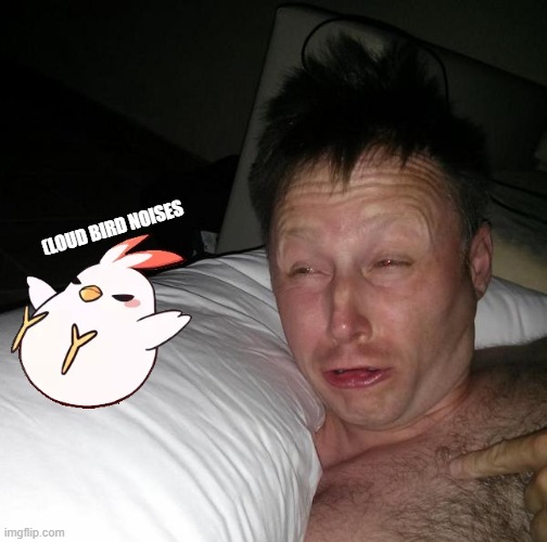 Limmy waking up | (LOUD BIRD NOISES | image tagged in limmy waking up | made w/ Imgflip meme maker