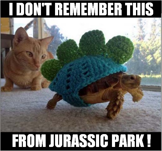 Cat Paleontologist ? |  I DON'T REMEMBER THIS; FROM JURASSIC PARK ! | image tagged in cat,dinosaurs,tortoise | made w/ Imgflip meme maker