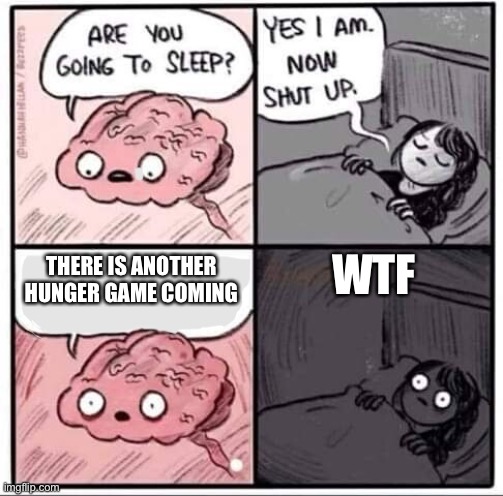 Huh | WTF; THERE IS ANOTHER HUNGER GAME COMING | image tagged in are you going to sleep | made w/ Imgflip meme maker