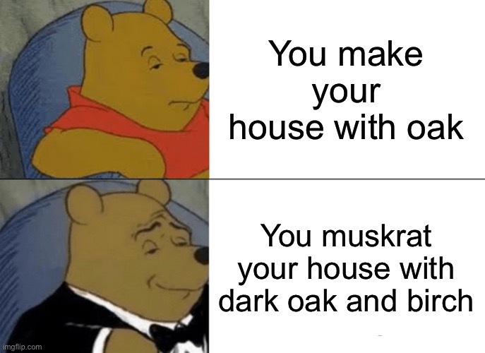 Tuxedo Winnie The Pooh |  You make your house with oak; You muskrat your house with dark oak and birch | image tagged in memes,tuxedo winnie the pooh | made w/ Imgflip meme maker
