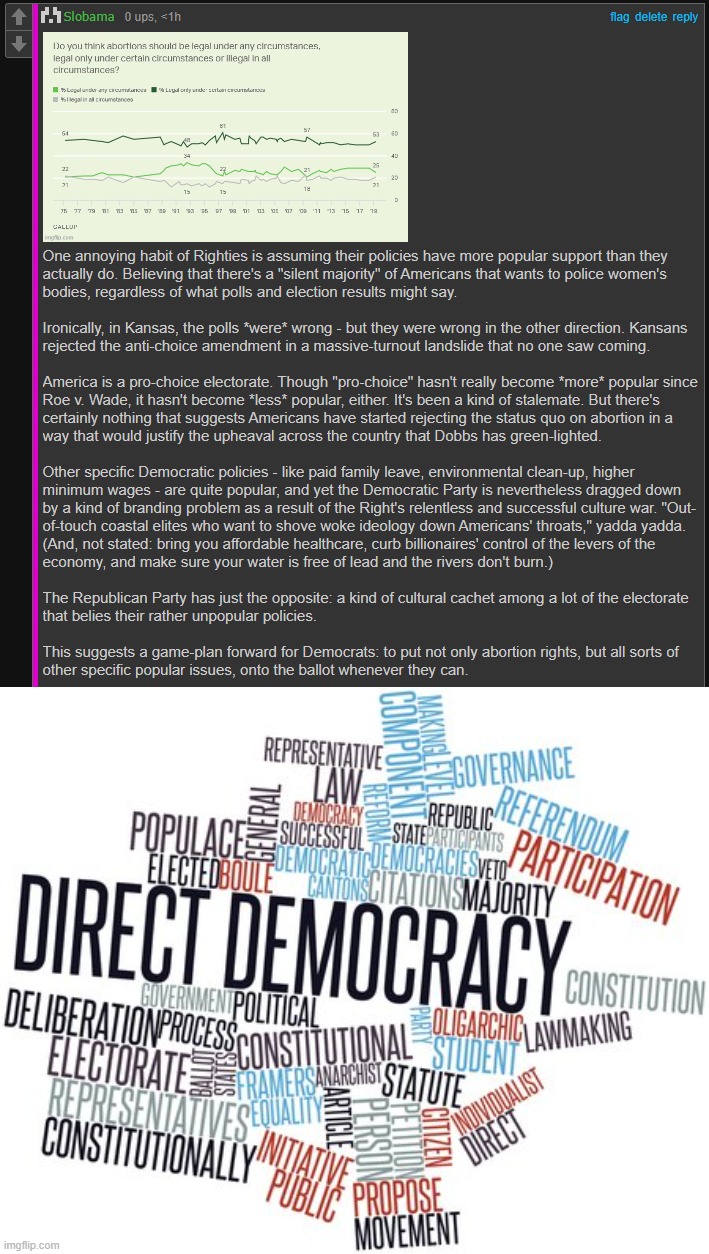 Is direct democracy the future of governance in America? | image tagged in direct democracy,democracy,government,abortion,democratic party,pro-choice | made w/ Imgflip meme maker
