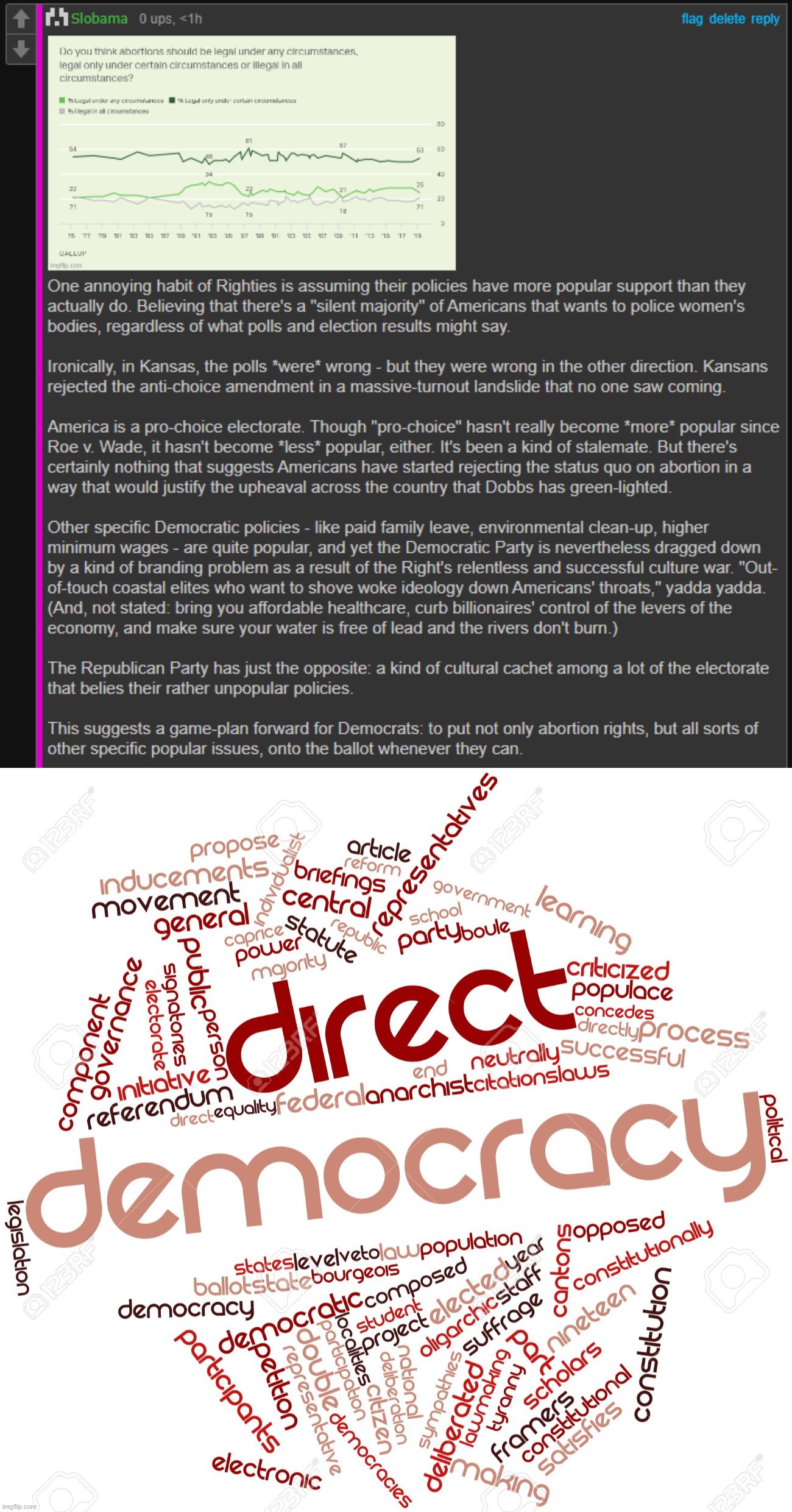 Is direct democracy the future of women's rights? | image tagged in direct democracy,democracy,womens rights,abortion,pro-choice,government | made w/ Imgflip meme maker