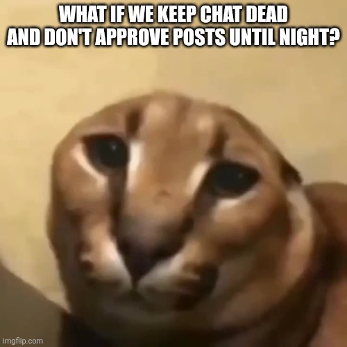 big floppa | WHAT IF WE KEEP CHAT DEAD AND DON'T APPROVE POSTS UNTIL NIGHT? | image tagged in big floppa | made w/ Imgflip meme maker