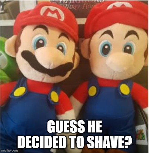 Super Hair Lip Brother | GUESS HE DECIDED TO SHAVE? | image tagged in you had one job | made w/ Imgflip meme maker