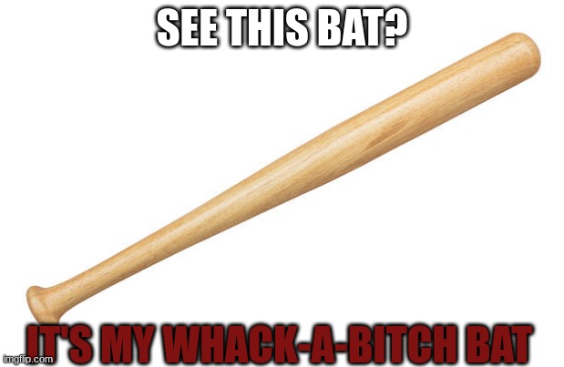 Send this to someone who ticks you off | SEE THIS BAT? IT'S MY WHACK-A-BITCH BAT | image tagged in whack-a-bitch | made w/ Imgflip meme maker