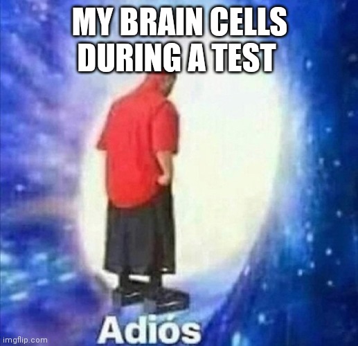 Adios |  MY BRAIN CELLS DURING A TEST | image tagged in adios | made w/ Imgflip meme maker